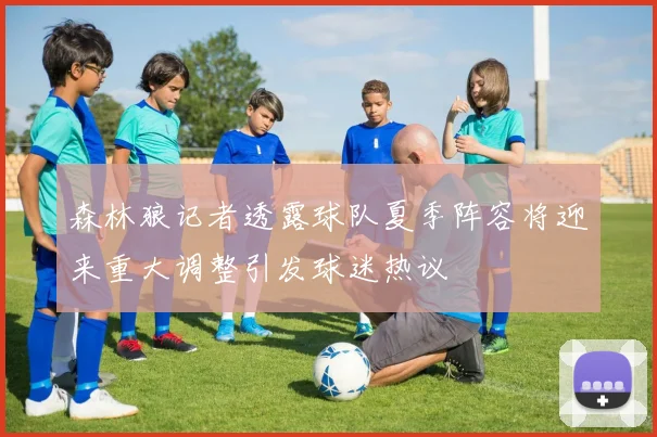 森林狼记者透露球队夏季阵容将迎来重大调整引发球迷热议