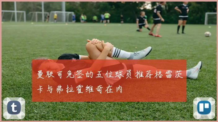 曼联可免签的五位球员推荐格雷茨卡与弗拉霍维奇在内