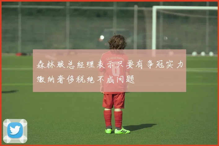 森林狼总经理表示只要有争冠实力缴纳奢侈税绝不成问题